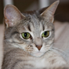 Placeholder  Image